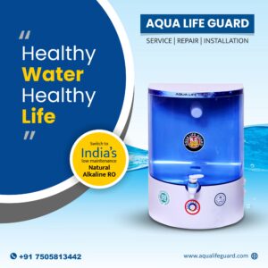 RO Service in Bhauti