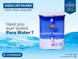RO Service in Ashok Nagar